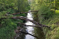 Ettenau