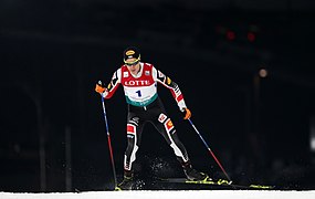 Mario Seidl (Welt­cup Pyeong­chang 2017)