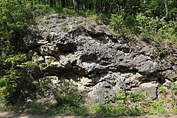 Felsaufschlüsse mit Bohrmuschelspuren