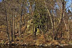 Felsbildungen samt zugehörigem Baumbestand