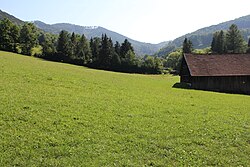 Feucht- und Magerwiese