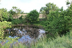 Grundwasserteich