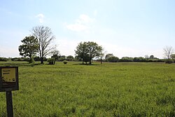 Feuchtgebiet Oberwaltersdorf-Tattendorf
