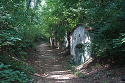 Finkensteinweg/Pittnerberg in St. Pölten (St. Pölten)