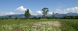 Riedlandschaft bei Dornbirn