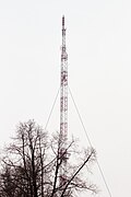 Neuer Mast im März 2012