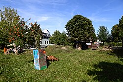 Freiraumgestaltung im NÖ Landespflegeheim Tulln-Rosenheim