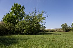 Friedhofswiesen Jabing
