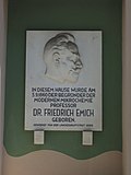 Der Chemiker Friedrich Emich
