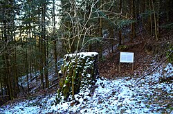 2 Buchen in Kefermarkt