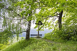 Galgenbühel