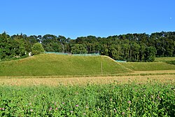 Kuhschellenböschung beim Sportplatz Neuzeug (Brandböschung)