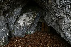 Gelbe Grotte (Tropfsteinhöhle Schachnerkogel)