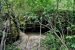 Geologischer Aufschluss