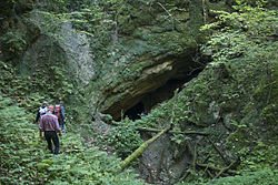 Gfatterhofhöhle