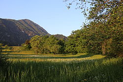 Gierer Streuwiese