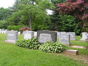 Foto von Kurt Gödels Grab inmitten anderer Gräber