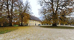 Sommer-Linde im Schlosshof Grafenstein