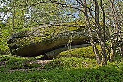Granitfelsgruppe auf Waldkuppe