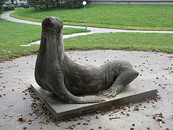 Seelöwe