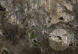 Guanohöhle