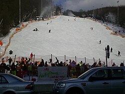 Skibetrieb auf der Hohe-Wand-Wiese (2009)