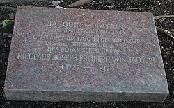 Nikolaus Joseph von Jacquin – Gedenktafel