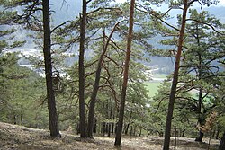 Teilbereiche des Gulsenberges