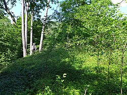 Hauptburgplateau. 2023