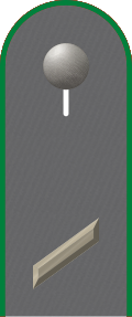 Dienstgradabzeichen auf der Schulterklappe der Jacke des Dienstanzuges für Heeresuniformträger der Jägertruppe.