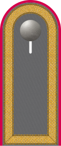 Dienstgradabzeichen auf der Schulterklappe der Jacke des Dienstanzuges für Heeresuniformträger der Panzertruppe.