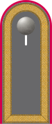 Dienstgradabzeichen auf der Schulterklappe der Jacke des Dienstanzuges für Heeresuniformträger der Panzertruppe.