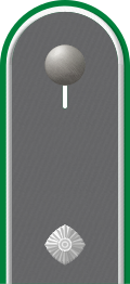 Dienstgradabzeichen auf der Schulterklappe der Jacke des Dienstanzuges für Heeresuniformträger der Fallschirmjägertruppe.
