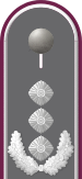 Dienstgradabzeichen auf der Schulterklappe der Jacke des Dienstanzuges für Heeresuniformträger der ABC-Abwehrtruppe