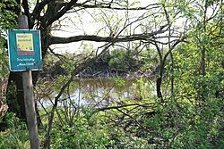 Haasteich (Feuchtbiotop)