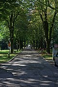 Handel-Mazzetti-Promenade