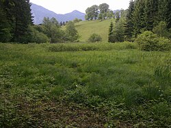 Haslacher Moor („Spöcklacke“)