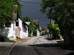 Große Kellertrift in Haugsdorf (Haugsdorf)