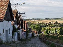Kleine Kellertrift in Haugsdorf (Haugsdorf)