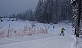 Piste am Waldrand