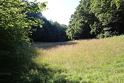 Hellwiese