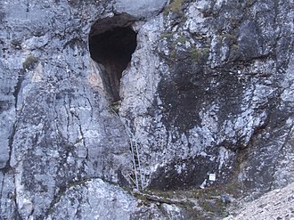 Hauptportal der Hirlatzhöhle