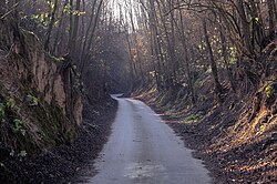 Hohlweg von Hippersdorf nach Zaußenberg