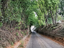 „Bei der Oberrußbacher Straße“ in Niederrußbach (Rußbach)