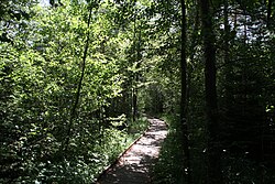 Teile des Hehermooses und der Holzöstersee