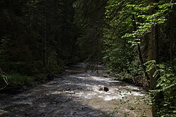Flusslauf des Gullingbaches
