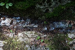 Flintenstein-Abbau, Gams