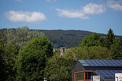 Baumensemble um Villa