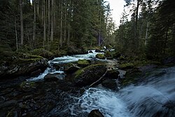 Untertalbach Wildes Wasser