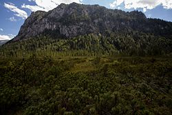 Hochmoor Rotmoos und Hanghochmoor Ameiskogel